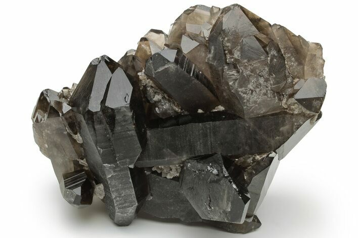 Natural Smoky Quartz Crystal Cluster - Brazil #231305